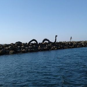 Meet your Posher, Bryan